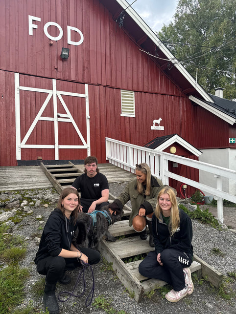 FOD-gården x Cavéli Studio