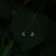 Crystal Charms Earrings