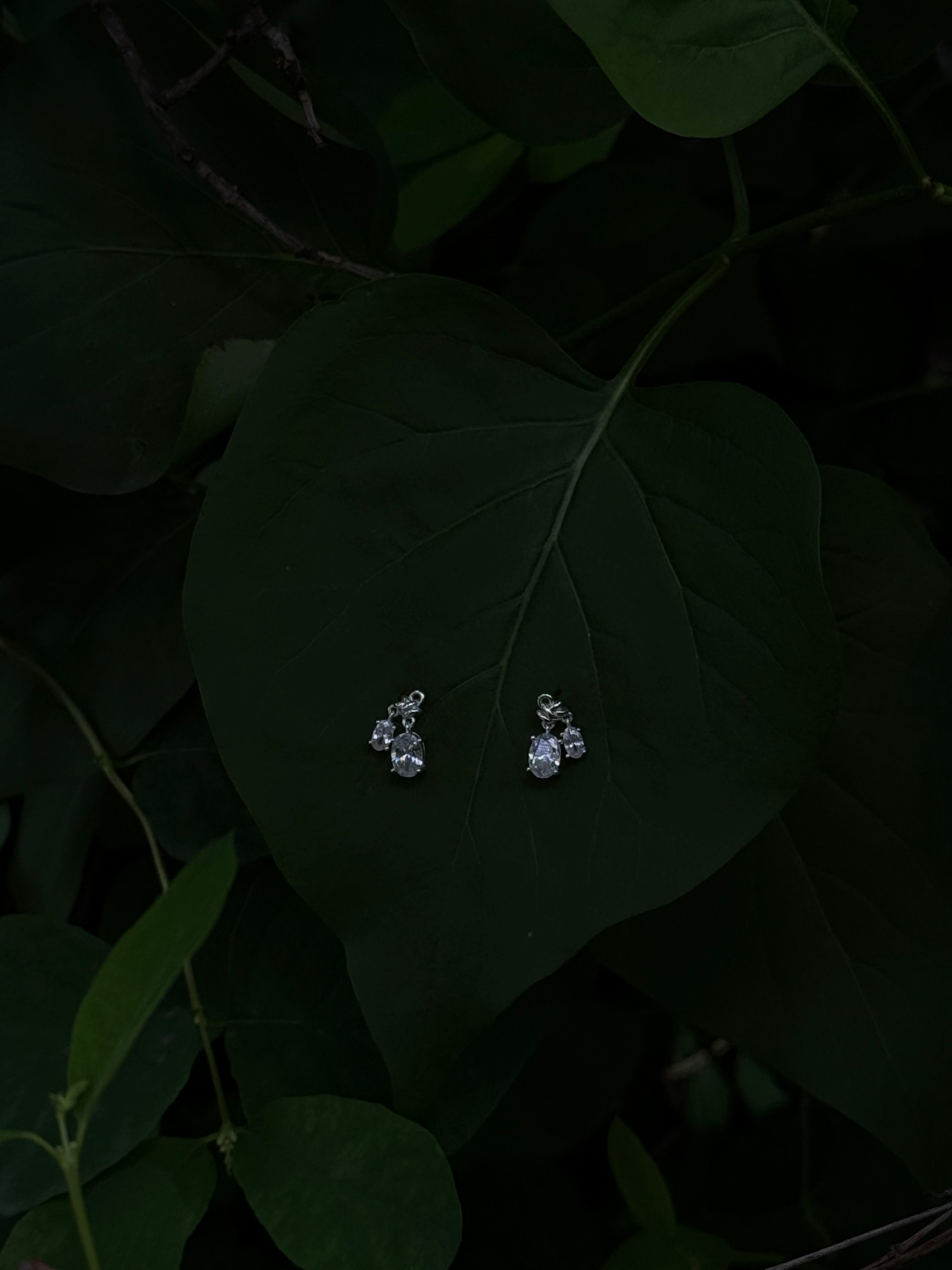 Crystal Charms Earrings